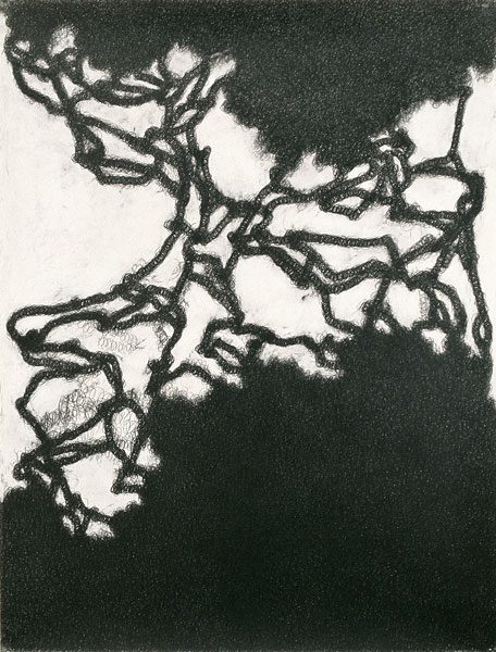 Abstract black ink lines form a chaotic pattern on a white background.
